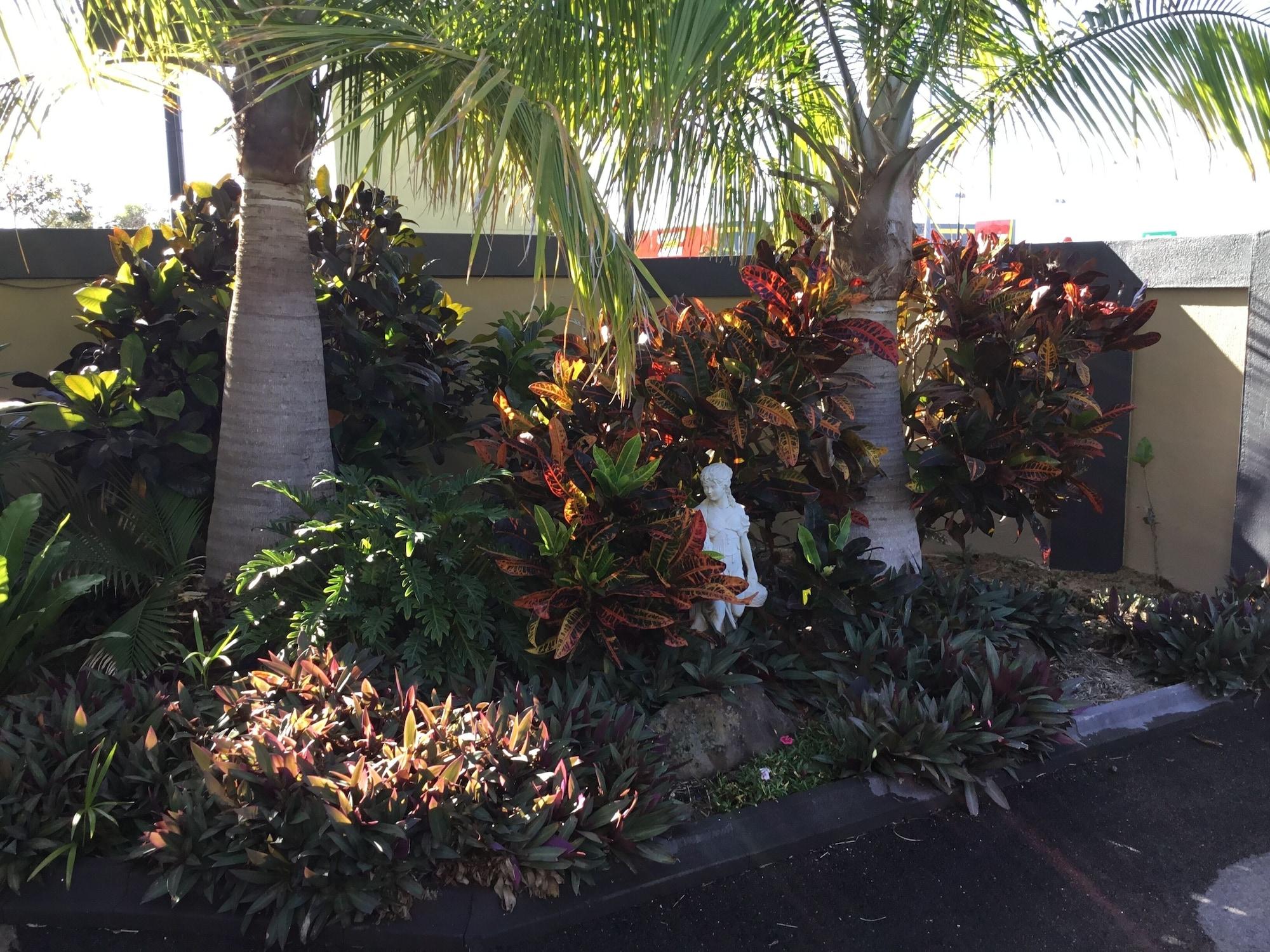 בונדברג Golden Palms Motor Inn מראה חיצוני תמונה
